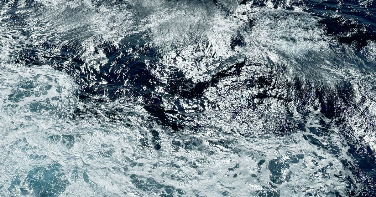 Ir-ragħwa tal-baħar ħdejn vapur.