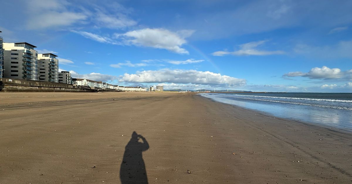 Dell fuq ir-ramel, ħdejn il-baħar.